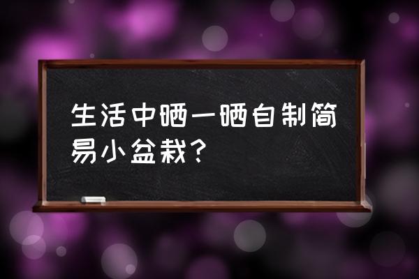 怎么自己制作自动滴灌器 生活中晒一晒自制简易小盆栽？