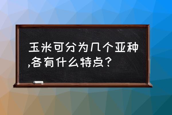 玉米的生长习性和特点 玉米可分为几个亚种,各有什么特点？