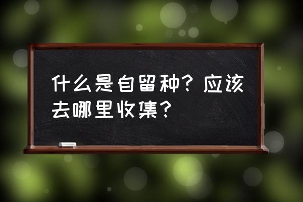 胡萝卜用什么方法留种 什么是自留种？应该去哪里收集？