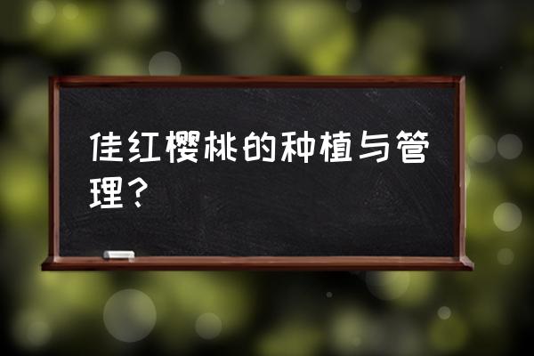 樱桃的栽培和管理技术 佳红樱桃的种植与管理？