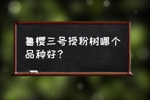 自花授粉车厘子哪个品种最好 鲁樱三号授粉树哪个品种好？