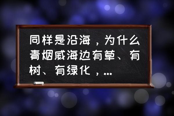 盐碱地修复治理的标准 同样是沿海，为什么青烟威海边有草、有树、有绿化，而潍坊海边就是盐碱地？