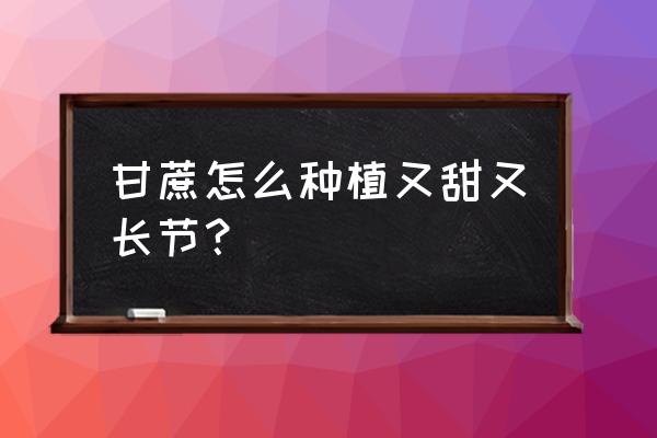 甘蔗怎样种植更大更软更甜 甘蔗怎么种植又甜又长节？