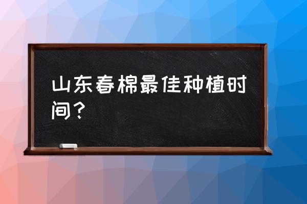 棉花的种植日期与结束日期 山东春棉最佳种植时间？