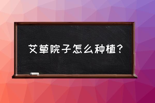 家里种艾草怎样长得又多又好 艾草院子怎么种植？