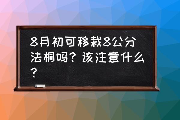 速生法桐怎样繁殖最好 8月初可移栽8公分法桐吗？该注意什么？