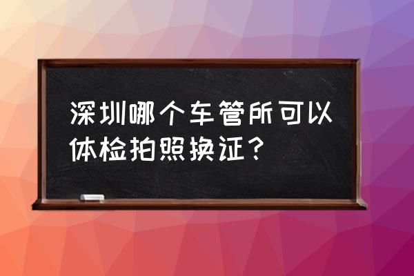 深圳最适合拍照的地方排名 深圳哪个车管所可以体检拍照换证？