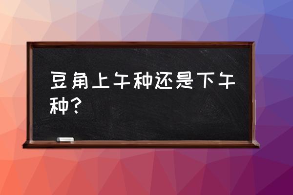 芸豆种植最佳时间 豆角上午种还是下午种？