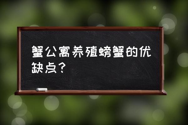 对虾养殖技术室内 蟹公寓养殖螃蟹的优缺点？