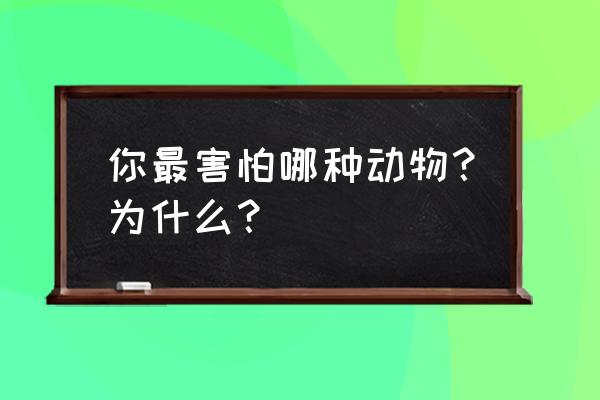 马克笔画柳树简笔画 你最害怕哪种动物？为什么？