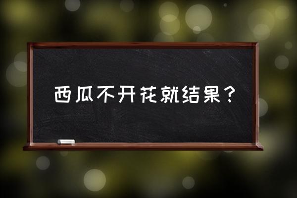 西瓜不开花原因及解决办法 西瓜不开花就结果？