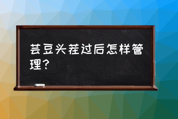 芸豆苗期到开花前一直不用浇水吗 芸豆头茬过后怎样管理？