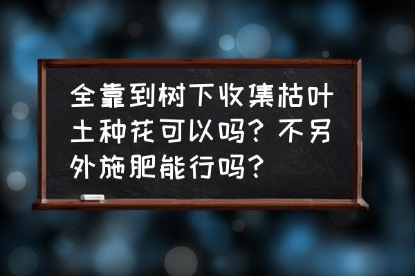 植物的叶子埋在土里能当肥料吗 全靠到树下收集枯叶土种花可以吗？不另外施肥能行吗？