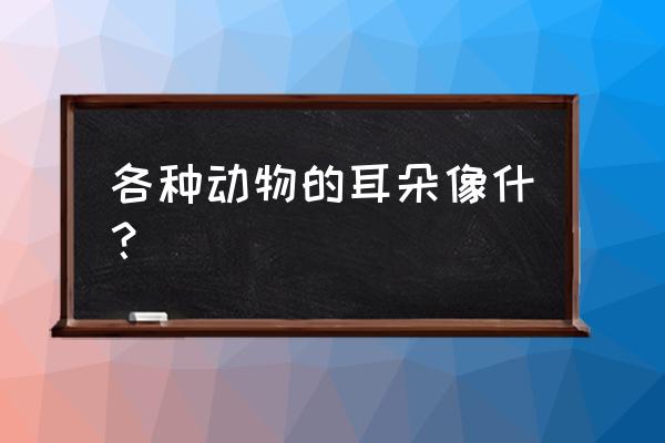 怎么画一头半圆形的大象 各种动物的耳朵像什？