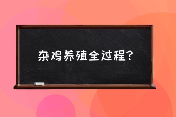 散养鸡如何轻松收蛋 杂鸡养殖全过程？