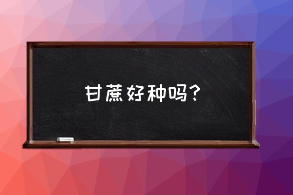 甘蔗搬运神器大全 甘蔗好种吗？