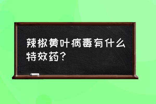 辣椒黄叶开花不结果怎么办 辣椒黄叶病毒有什么特效药？