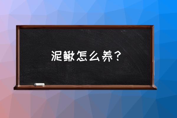 泥鳅怎么养在家里 泥鳅怎么养？