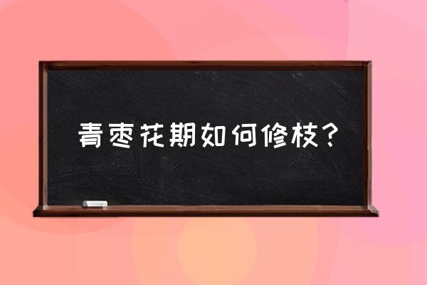 青枣怎样管理才能结果多 青枣花期如何修枝？