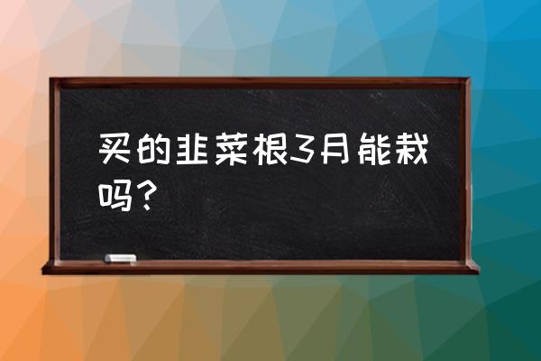 10月份还能种韭菜根吗 买的韭菜根3月能栽吗？