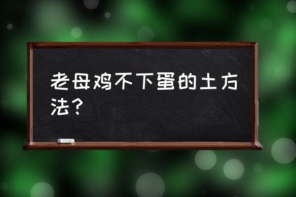 散养的土鸡不在窝里下蛋怎么办 老母鸡不下蛋的土方法？