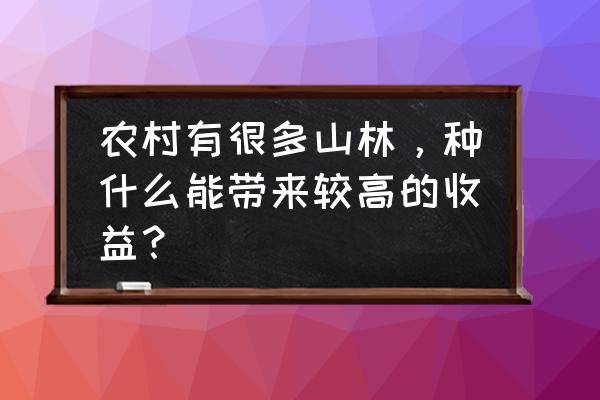 绿叶新零售收益从哪里来 农村有很多山林，种什么能带来较高的收益？