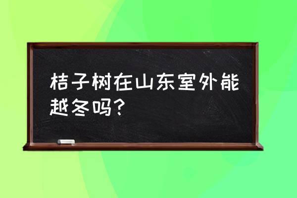 最耐寒的桔子树 桔子树在山东室外能越冬吗？