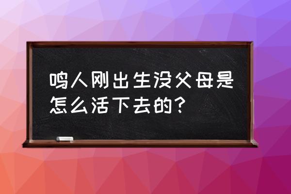 火影鸣人新手入门教程 鸣人刚出生没父母是怎么活下去的？