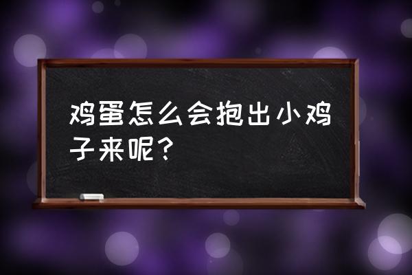 生鸡蛋单手快速破壳技巧 鸡蛋怎么会抱出小鸡子来呢？