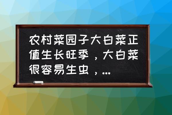 蔬菜的虫害怎么防治 农村菜园子大白菜正值生长旺季，大白菜很容易生虫，怎么防治常见虫害？