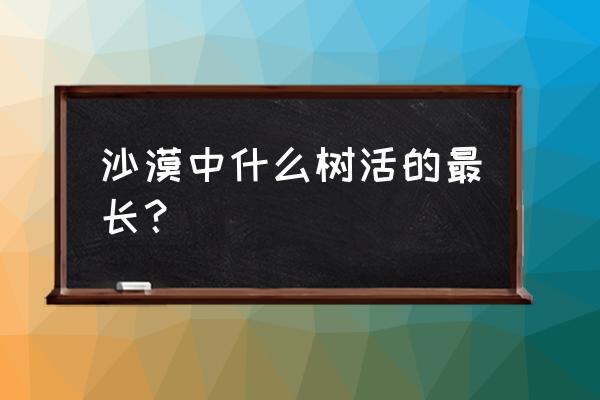 被誉为沙漠英雄的树 沙漠中什么树活的最长？