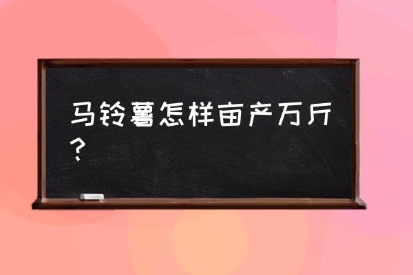 种土豆如何高产 马铃薯怎样亩产万斤？