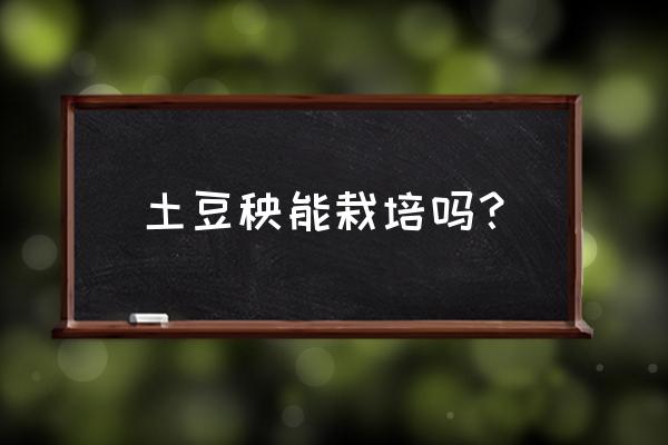 马铃薯种植过程中要经常浇水吗 土豆秧能栽培吗？