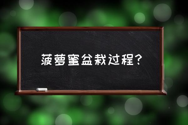 种菠萝蜜应该用什么盆 菠萝蜜盆栽过程？