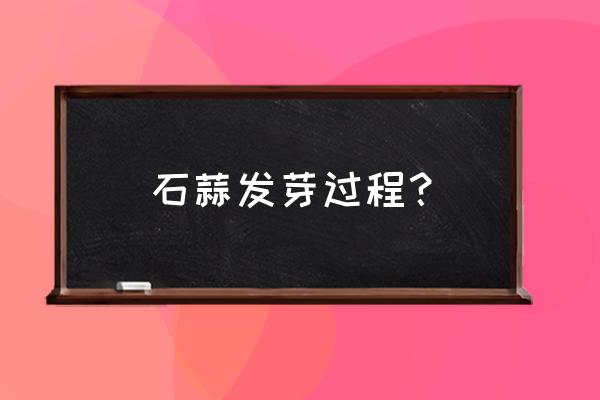 石蒜花只长叶子不开花怎么办 石蒜发芽过程？