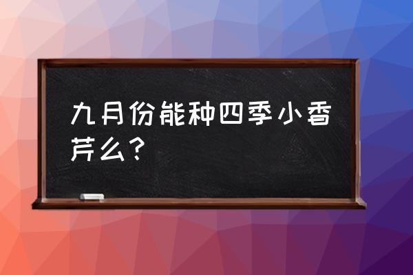 入秋后芹菜如何种植才能优质高产 九月份能种四季小香芹么？