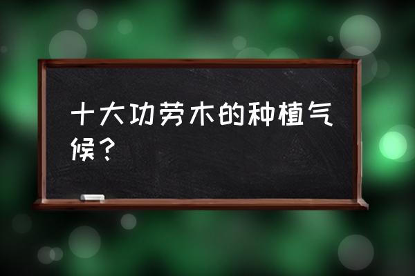 十大功劳移栽注意哪些 十大功劳木的种植气候？