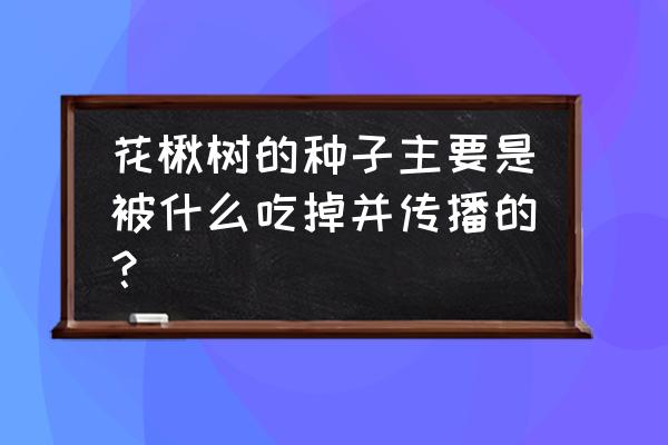 秋树结的果实能吃吗 花楸树的种子主要是被什么吃掉并传播的？