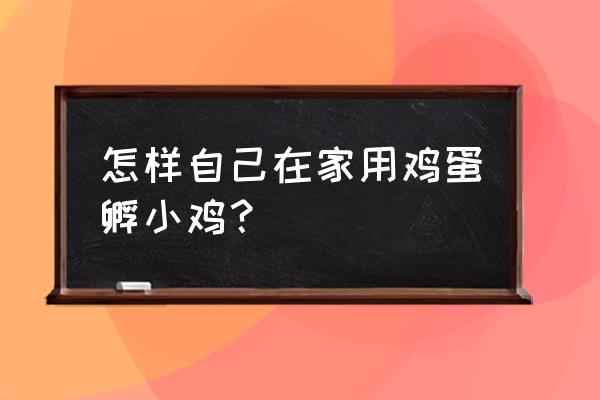 自己孵鸡蛋最简单的方法 怎样自己在家用鸡蛋孵小鸡？