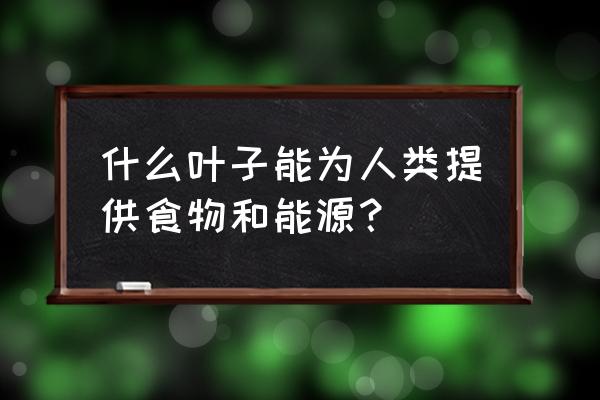 荠菜无土栽培可以么 什么叶子能为人类提供食物和能源？