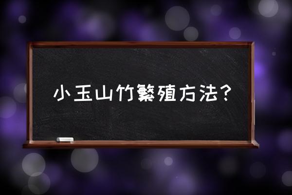 山竹种植技术全过程 小玉山竹繁殖方法？