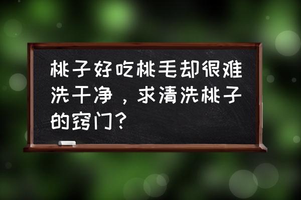 桃子怎样洗才能干净去毛 桃子好吃桃毛却很难洗干净，求清洗桃子的窍门？