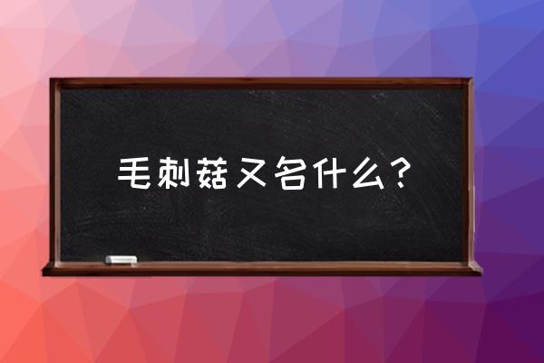 三角菇制作过程 毛刺菇又名什么？