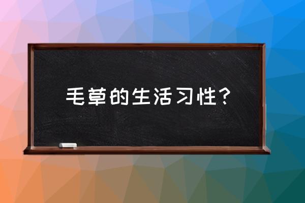 野草屋顶和茅草屋顶有什么区别 毛草的生活习性？