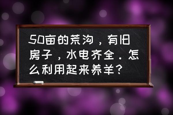 多多牧场育牛棚在哪里 50亩的荒沟，有旧房子，水电齐全。怎么利用起来养羊？