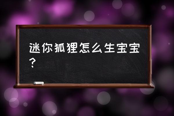 迷你世界新版粗果木树枝怎么采集 迷你狐狸怎么生宝宝？