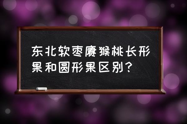 软枣猕猴桃的功效作用与禁忌 东北软枣猕猴桃长形果和圆形果区别？