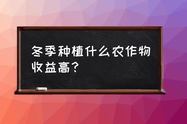 冬天适合种植的蔬菜有哪些 冬季种植什么农作物收益高？