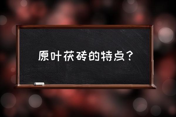 安化云台山一日半怎么游玩 原叶茯砖的特点？