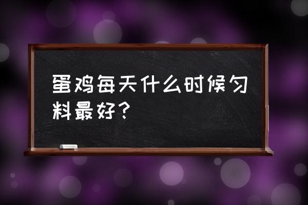 蛋鸡的消毒方法和步骤 蛋鸡每天什么时候匀料最好？